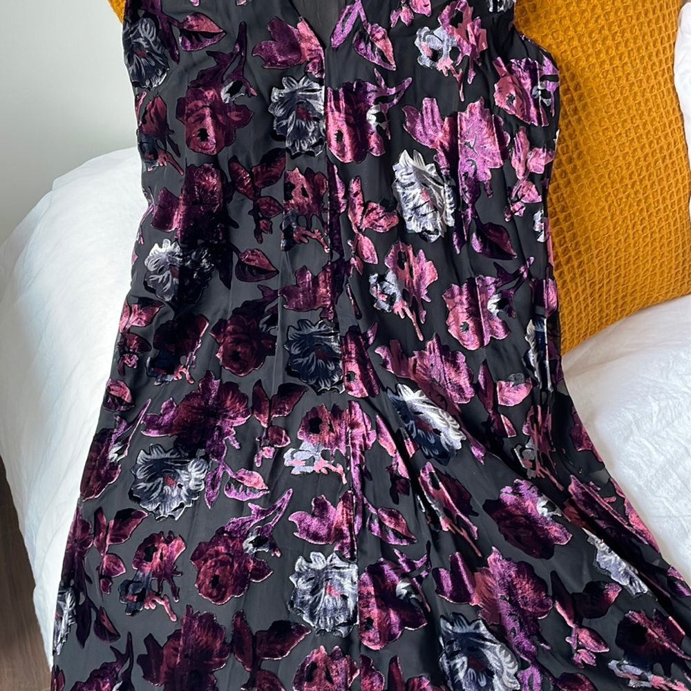 BB Dakota velvet flowers dress